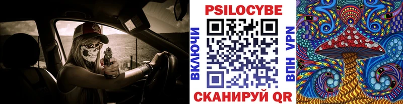 наркошоп  МЕГА ССЫЛКА  Псилоцибиновые грибы мицелий  Стародуб 